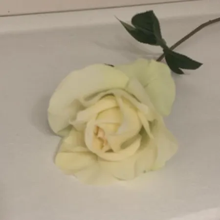 San Giusto דירה *