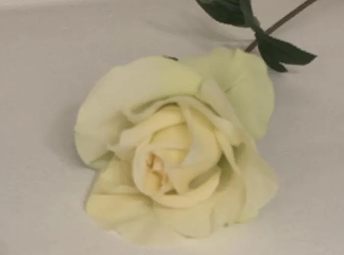 San Giusto Apartment *